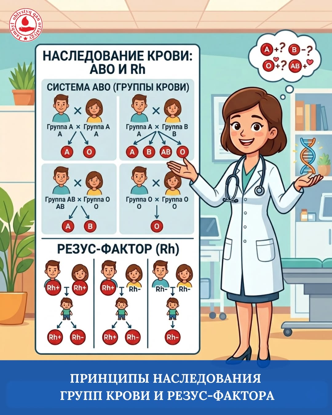 Принципы наследования групп крови и резус-фактора